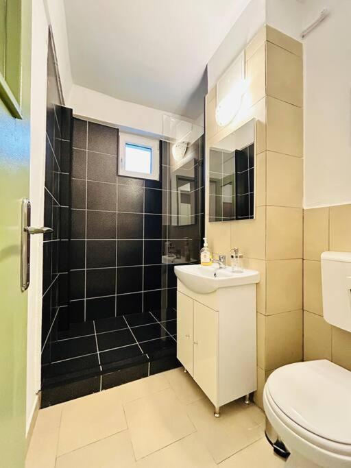 Cosy Apartment #12Lunipebega Тимишоара Екстериор снимка