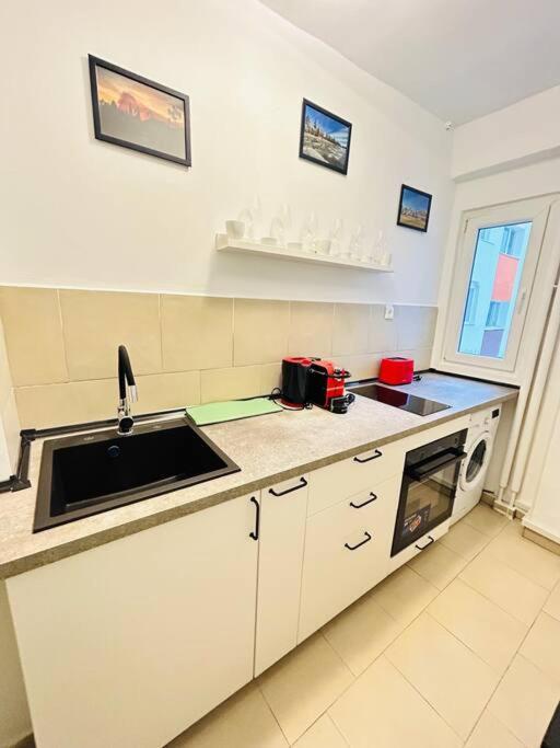 Cosy Apartment #12Lunipebega Тимишоара Екстериор снимка