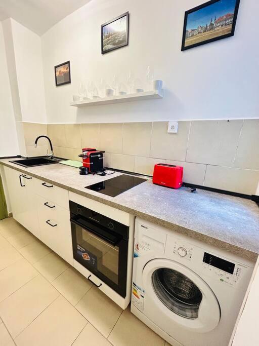 Cosy Apartment #12Lunipebega Тимишоара Екстериор снимка